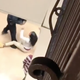 Image for article titled Chicago Police Removed From School for Using Stun Gun on 16-Year-Old, but She’s the One Facing Charges